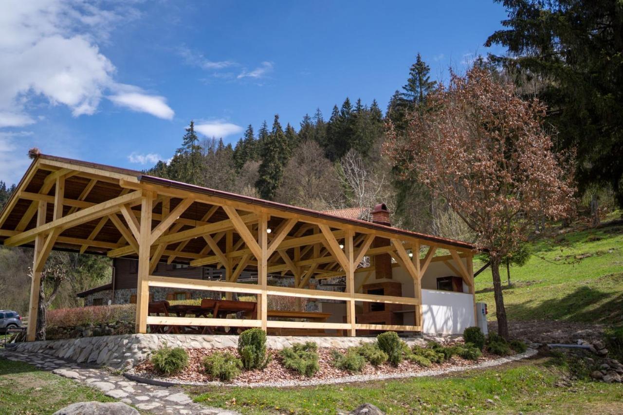 3A Guest House Sicasău Exteriér fotografie