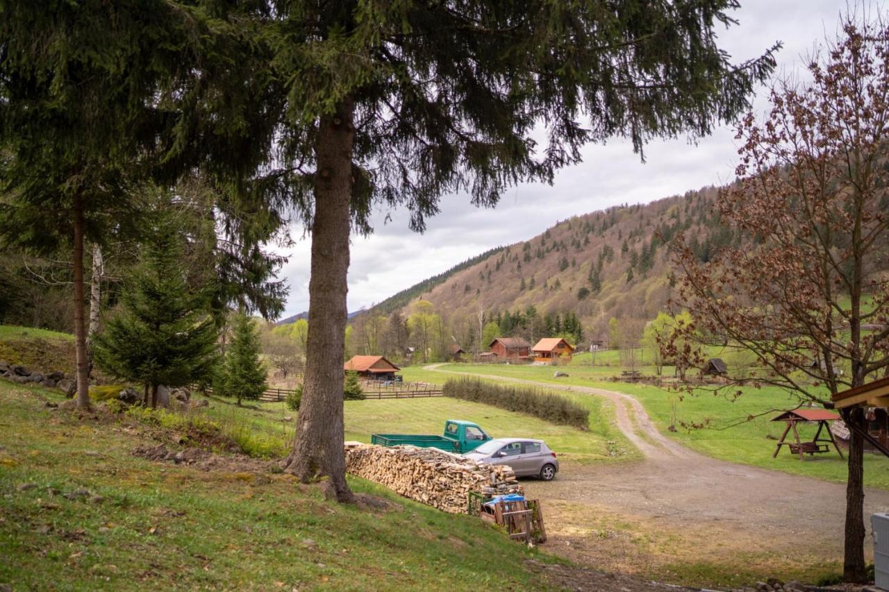3A Guest House Sicasău Exteriér fotografie