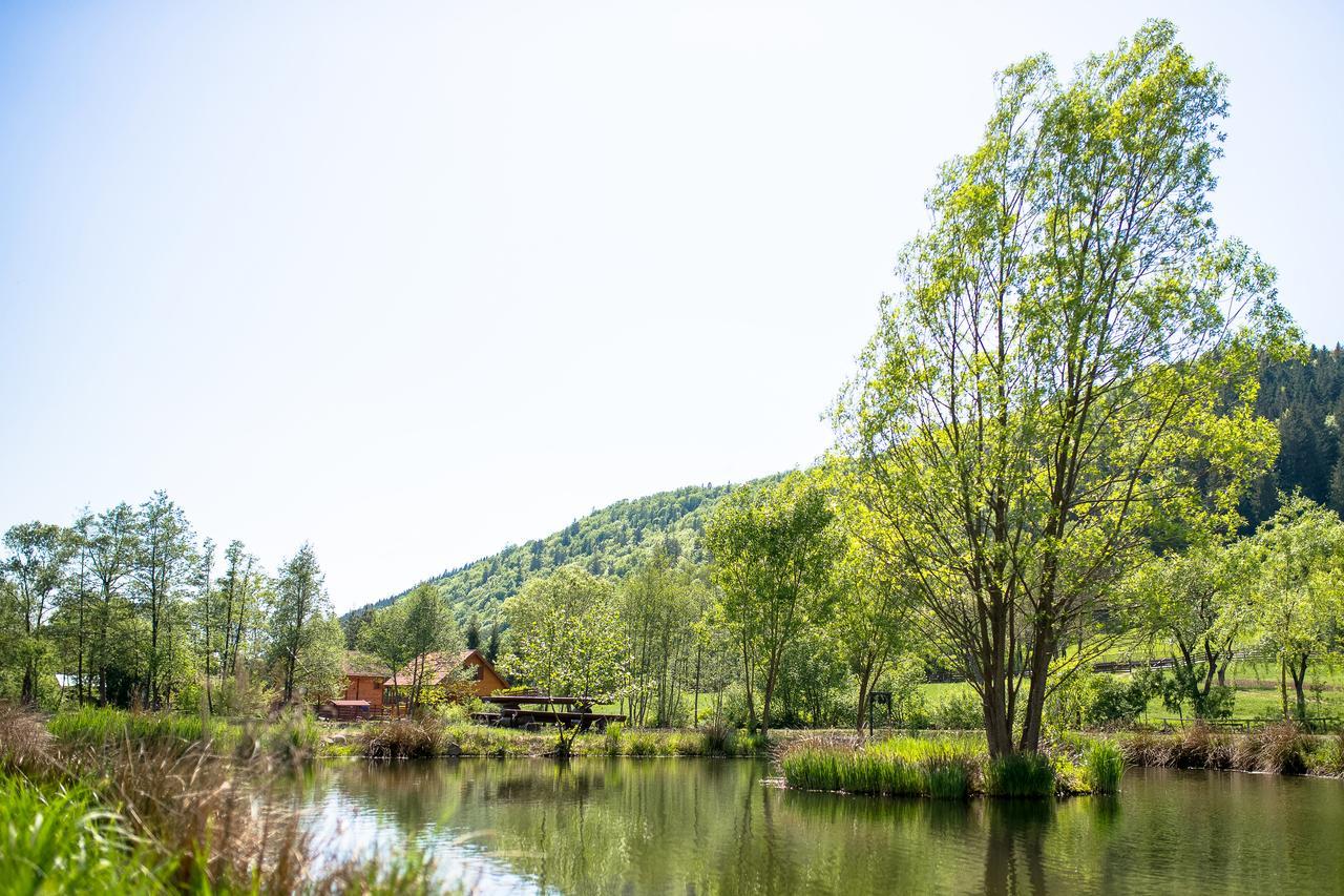 3A Guest House Sicasău Exteriér fotografie