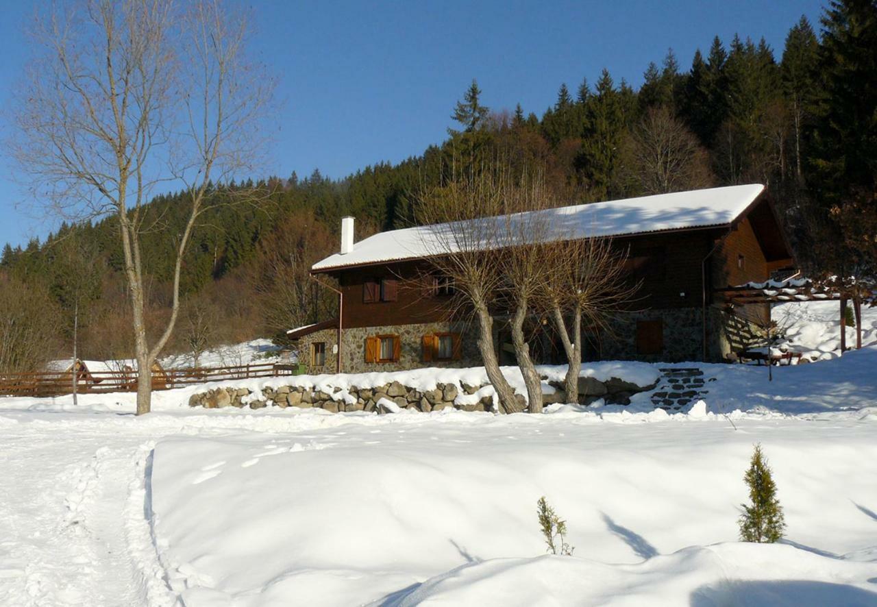 3A Guest House Sicasău Exteriér fotografie